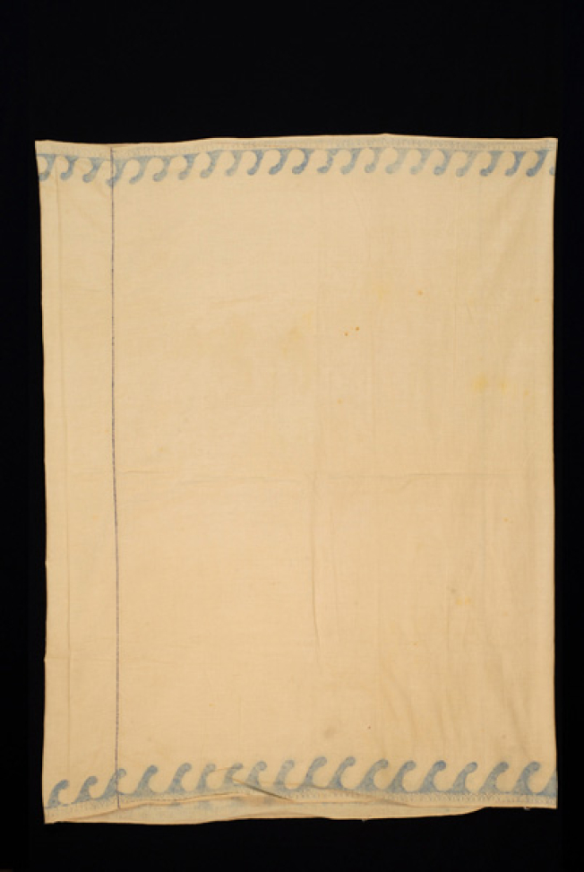 Chiton, back