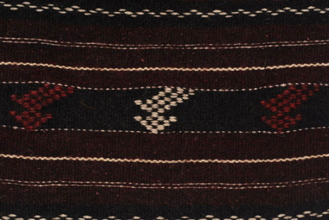 Detail of the decoration, emboidered stylized motifs at the embellished stripes