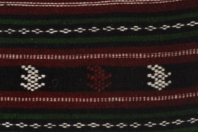 Detail of the decoration, embroidered stylized motifs at the embellished stripes