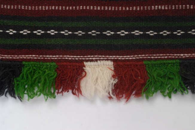 Detail of the decoration, fringed edge