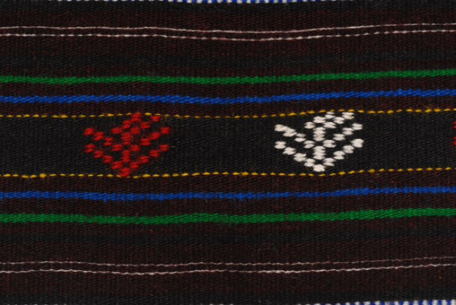 Detail of the decoration, embroidered tree-shaped motifs at the embellished stripes