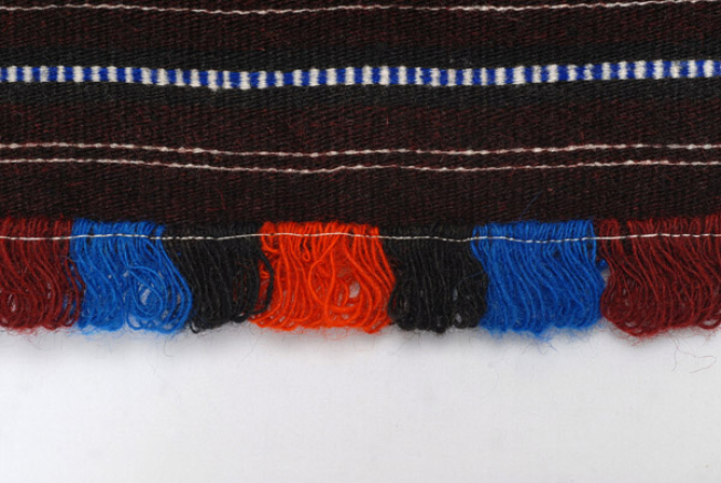Detail of the decoration, fringed edge