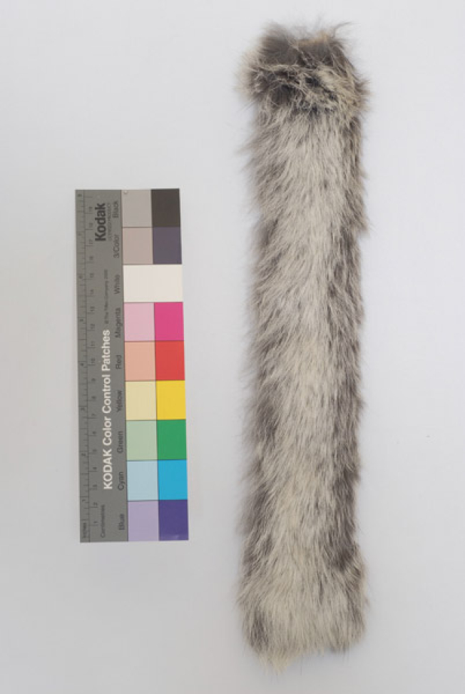 Fur (profili)
