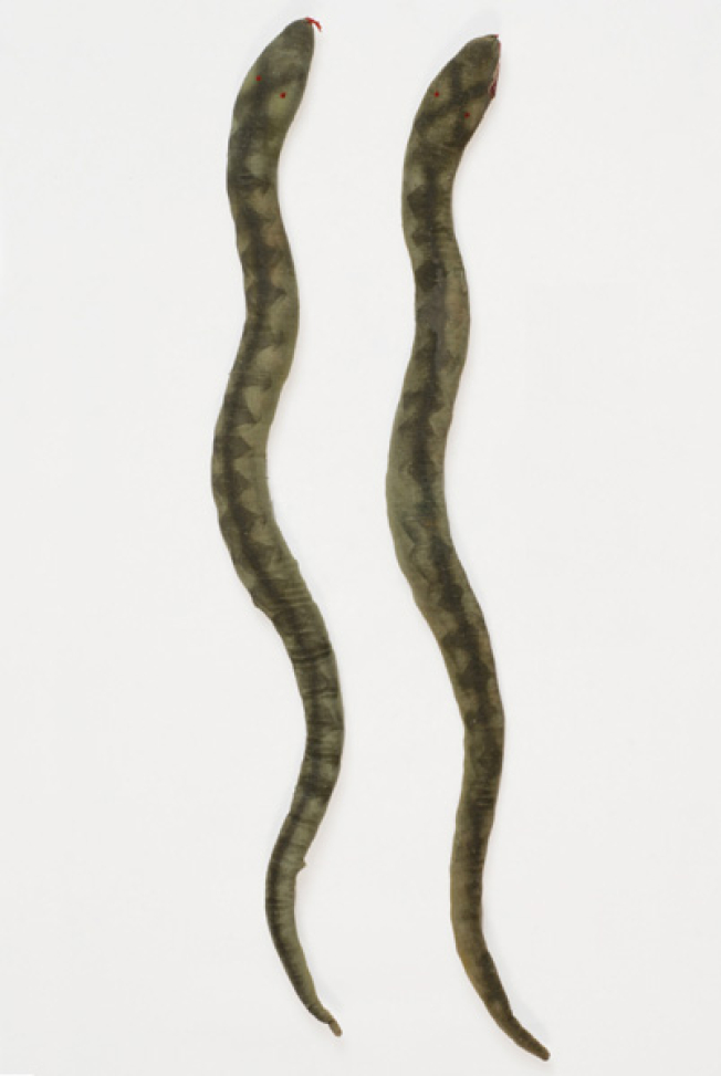 Pair of snakes