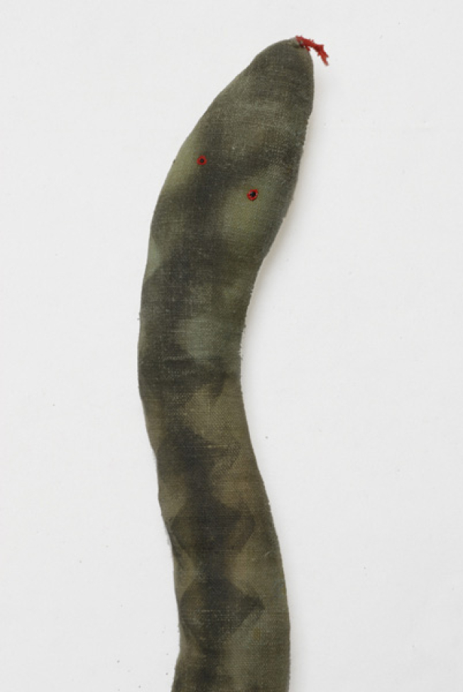 Head of the snake and part of the body