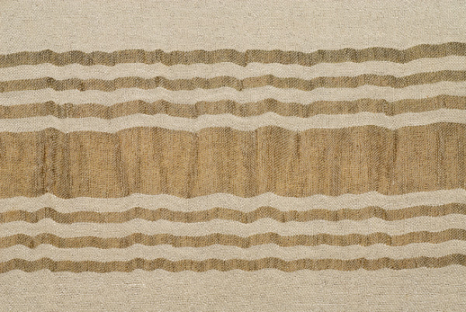 Detail of the embellished linear decoration
