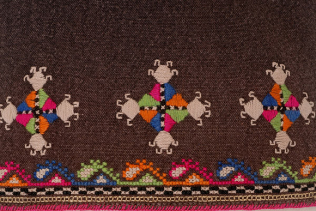 Detail of the decoration at the border: bapkha with glounie, cross-shaped motifs with flat stitch