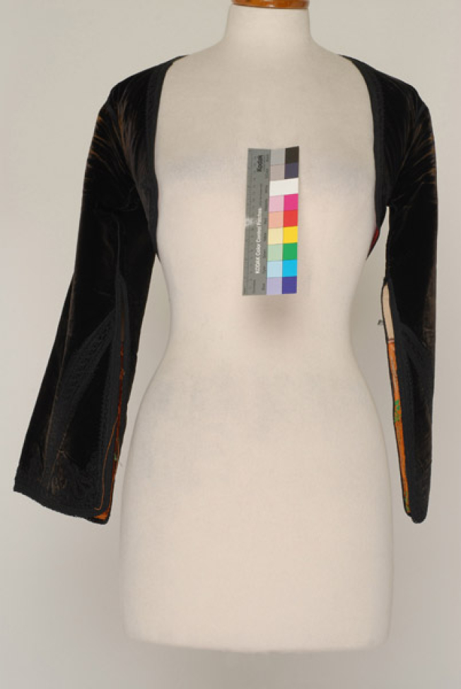 Velvet kamizoli, sleeved jacket
