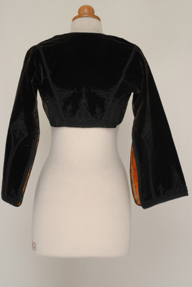 Velvet kamizoli, sleeved jacket, back