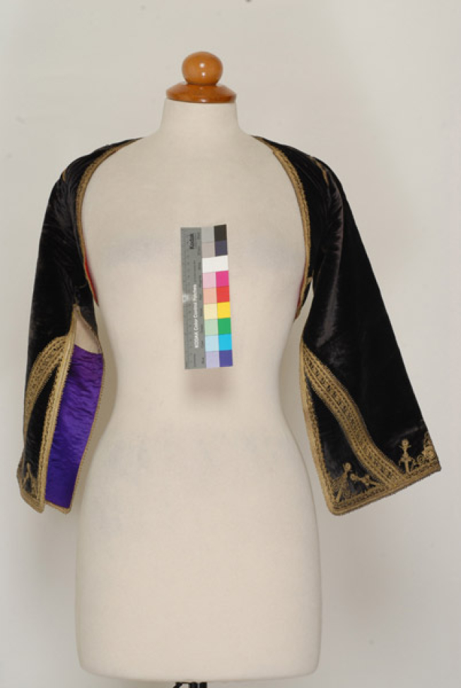 Kamizoli, velvet gold embroidered sleeved jacket