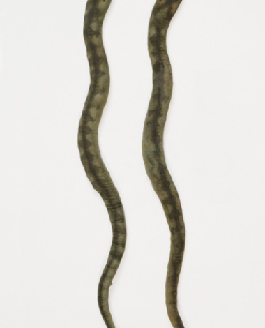 Pair of snakes